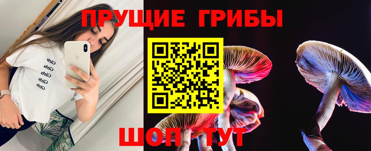 Новодвинск  Псилоцибиновые грибы прущие грибы  Вход с VPN 