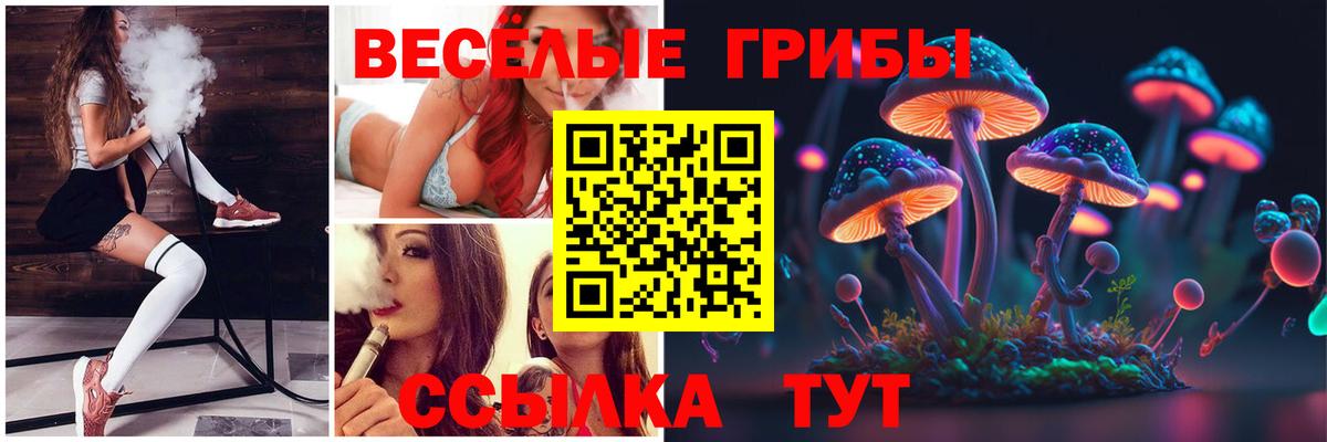 Галлюциногенные грибы GOLDEN TEACHER Новодвинск